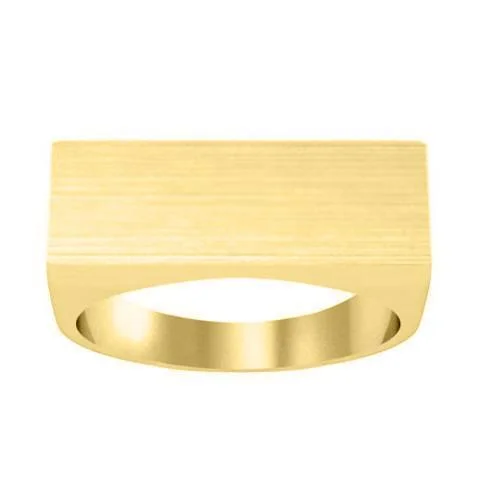 Shine Without Limits – Jewelry Sale Happening Now Wide Rectangular Signet Ring for Men - 24mm x 9mm