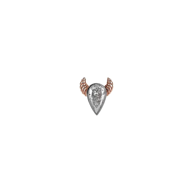 Limited-Time Jewelry Discounts – Shine Without The Splurge Bull Stud Earring