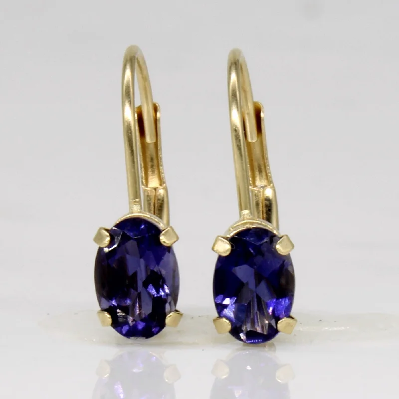 Limited Stock On Premium Jewelry At Low Prices Iolite Earrings | 0.60ctw |